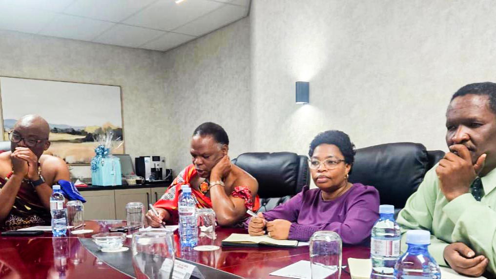 Eswatini explores energy, funding opportunities through TICAD